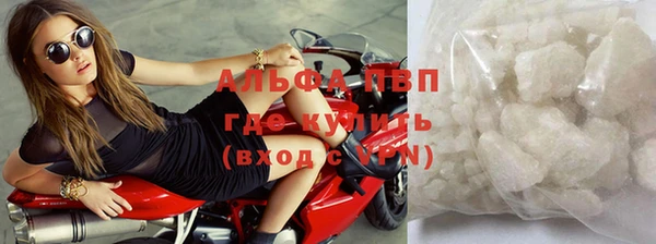 гашик Дмитровск