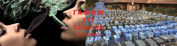 гашик Дмитровск
