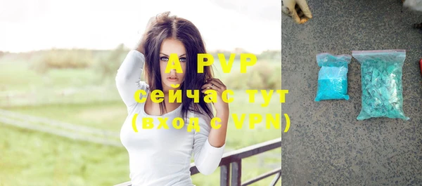 гашик Дмитровск