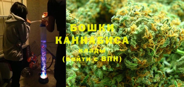 ПСИЛОЦИБИНОВЫЕ ГРИБЫ Дмитров