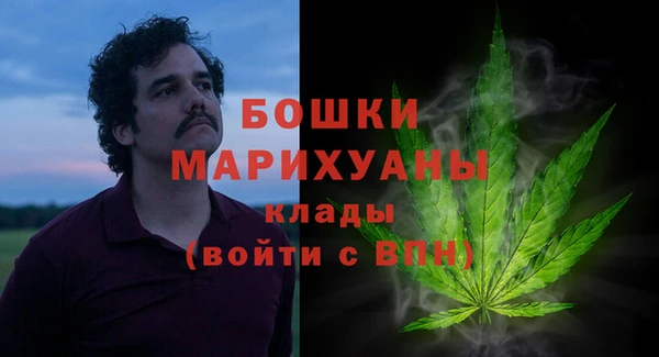 гашик Дмитровск