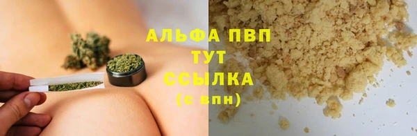 гашик Дмитровск