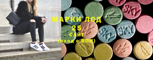 гашик Дмитровск