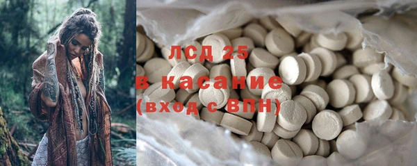 прущие грибы Гусев