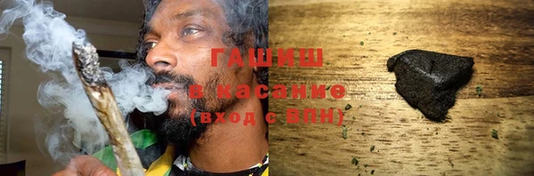 прущие грибы Гусев