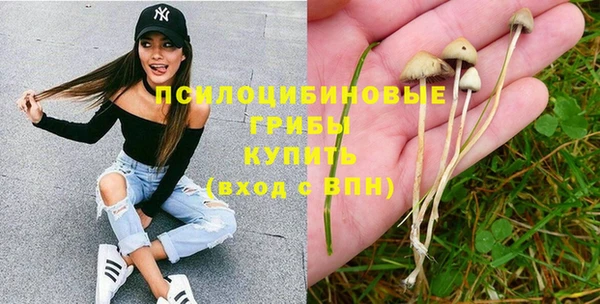 ПСИЛОЦИБИНОВЫЕ ГРИБЫ Дмитров