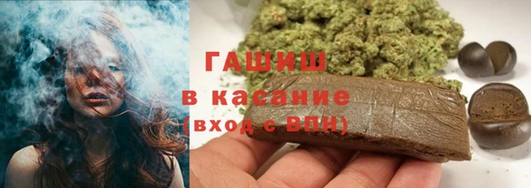 прущие грибы Гусев