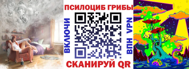 Купить закладки Сосновка Псилоцибиновые грибы Psilocybine cubensis